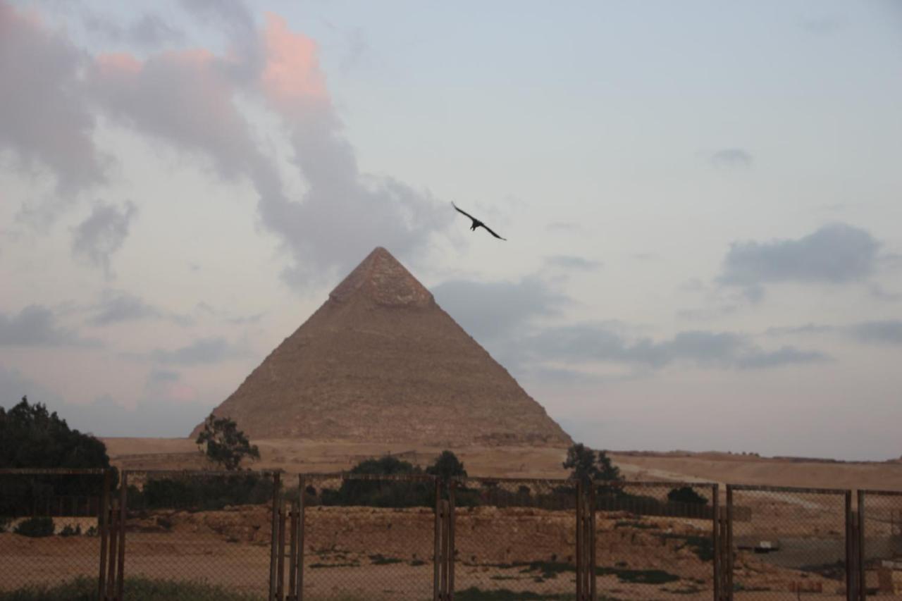 Farida Pyramids Boutique Hotel Kafret el-Gabal Eksteriør bilde